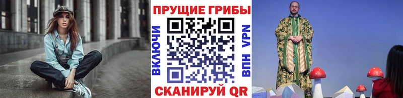 Псилоцибиновые грибы Psilocybine cubensis  Вихоревка 